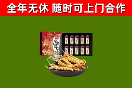 永昌回收冬虫夏草价格