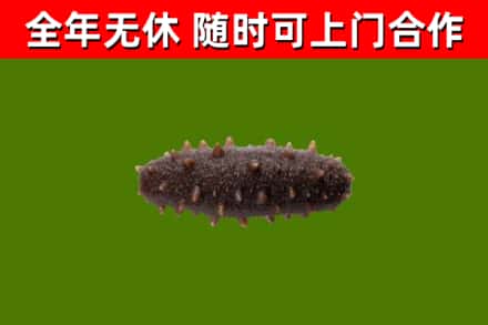 永昌烟酒回收干海参.jpg